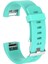 Fitbit Charge 2 Için Silikon Kordon Kayış Turkuaz (L) 1