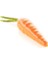 Silikomart Carota 20 1