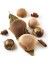Silikomart Marron Glace 110 1