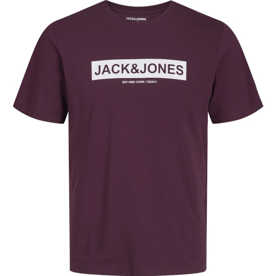 Jack & Jones Logo Baskılı Tişört- Pin