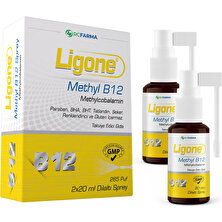 Newdrog Ligone Mthyl B12 Sprey yeni ambalaj