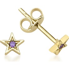 Kairos Jewelry 14 Ayar Altın Mor Taşlı Yıldız Çivi Küpe
KRS-K33-14GEZ