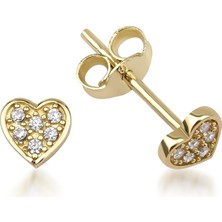 Kairos Jewelry 14 Ayar Altın Mini Kalp Küpe

KRS-K34-14GEZ