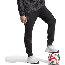 adidas Erkek Futbol Eşofman Altı Bjk 120Y Cn Pnt HT9832