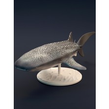 House Of Figure Balina Köpek Balığı Figürü  20CM Dekorasyon-Hediyelik Ürün-Dekoratif Raf Ürünü-Hobi-Figür