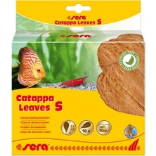 Sera Catappa Yaprağı S 14 cm (10 Adet)
