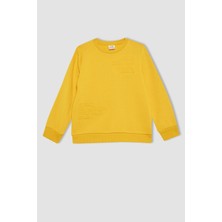 DeFacto Erkek Çocuk Bisiklet Yaka Sweatshirt X9713A622AU