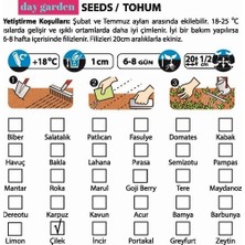 Day 50 Adet 5 Farklı Karışık Renk Çilek Tohumu + 10 Adet Kırmızı Gül Çiçek Tohumu