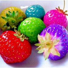 Day 10 Adet Japon Nara Karışık Renk Çilek Tohumu + 10 Adet Kırmızı Gül Çiçek Tohumu