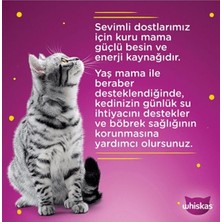 Whiskas Junior Yavru Klasik Öğünler Sığırlı Tavuklu 4X85 gr (13 Adet)