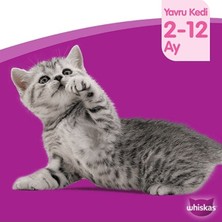 Whiskas Junior Pure Delight Yavru Yumuşacık Kümes Hayvanları 4X85 gr (13 Adet)