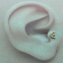 Gold Piedra Ay Modeli 14 Ayar Altın Helix Tragus Kıkırdak Küpe