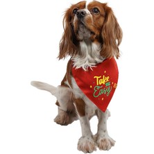 Red Take It Easy Kedi Köpek Fuları Pet Bandanası