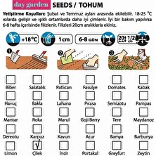 Day 50 Adet 5 Farklı Karışık Renk Çilek Tohumu + 10 Adet K.renk Lale Çiçek Tohumu