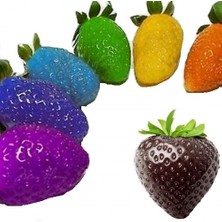 Day 10 Adet 5 Farklı Karışık Renk Çilek Tohumu + 10 Adet K.renk Dahlia Çiçek Tohumu