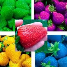 Day 50 Adet Nadir Doğal Karışık Renk Çilek Tohumu + 10 Adet K.renk Zambak Çiçek Tohumu