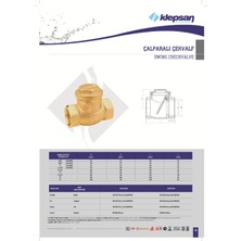 Klepsan Çalparalı Çekvalf 4'' DN100 PN16 Klepsan Sarı Metal