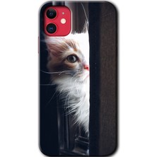 MRC İletişim Apple iPhone 11 Kılıf Hd Desen Baskılı Arka Kapak - Kedi Bakışı