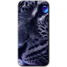 MRC İletişim Apple iPhone 5s Kılıf Hd Desen Baskılı Arka Kapak - Kaplan