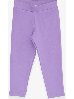 Breeze Kız Çocuk Tayt Basic 2-6 Yaş, Lila