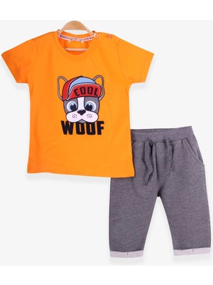 Breeze Erkek Çocuk Eşofman Takım Köpekcik Nakışlı 1-4 Yaş, Turuncu