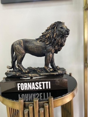 Mirsa Global Aslan Biblo