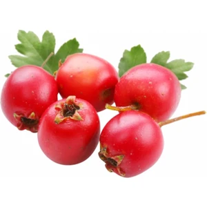 Zeytin Ana Alıç Sirkesi 500 ml