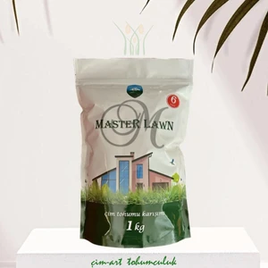 Master Lawn 6 Mix Karışım Çim Tohumu 1 kg