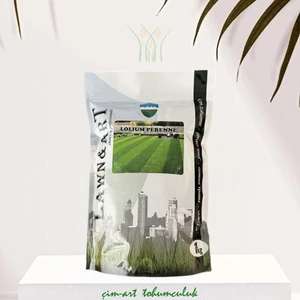 Lolium perenne İngiliz çimi 1 kg