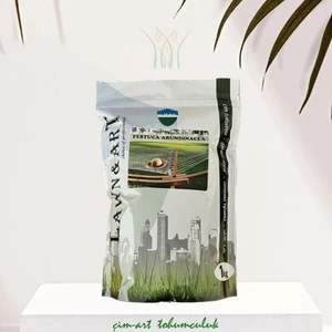 Festuca arundinacea çim tohumu 1 kg