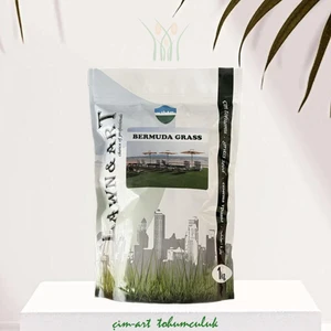 Bermuda Grass 1 kg