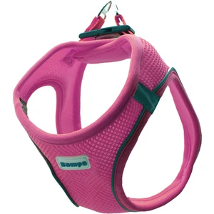 Air Mesh Kedi Köpek Göğüs Tasma S Pembe