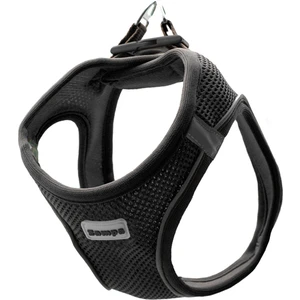 Air Mesh Kedi Köpek Göğüs Tasma 2xs Siyah