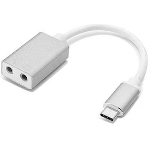 SL-USB-C80 USB 3.1 10CM Kablolu Type-C To 2*3.5mm Audio Çevirici