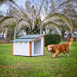 Standart Ahşap Köpek Kulübesi