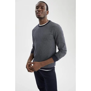 Slim Fit Bisiklet Yaka Uzun Kollu Basic Tişört W2949AZ21WN