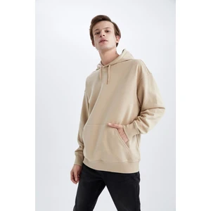 Oversize Fit Kapüşonlu Sweatshirt X8287AZ22AU