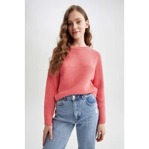 Coool Regular Fit Bisiklet Yaka Kazak L2567AZ22AU
