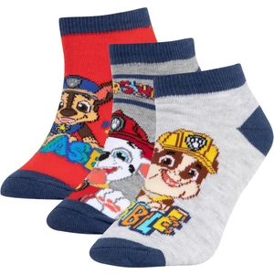 Erkek Çocuk PAW Patrol Pamuklu 3'lü Patik Çorap T9980A6NS