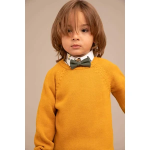 Erkek Bebek Regular Fit Bisiklet Yaka Kazak X5296A222AU