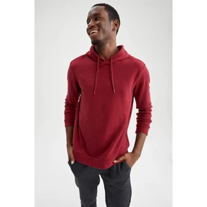 Regular Fit Kapüşonlu Basic Sweatshirt S9052AZ21AU