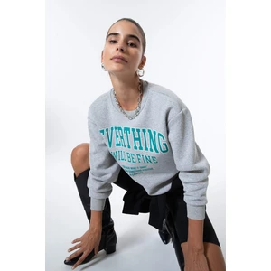 Regular Fit Bisiklet Yaka Sweatshirt Y1263AZ22WN