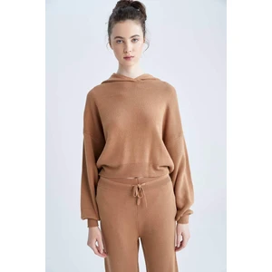 Oversize Fit Kapüşonlu Kazak R1700AZ22AU