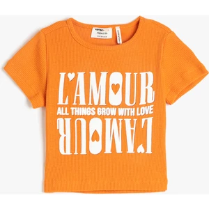 Crop Tişört Kısa Kollu Baskılı Bisiklet Yaka Fitilli