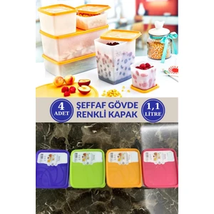 1,1 Litre Alaska No Frost Buzdolabı Dondurucu Erzak Saklama Kabı 4 Adet