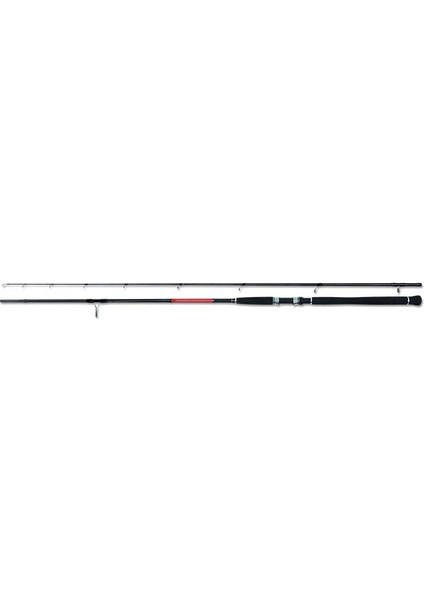 Shore Jig Cast Kamış 96H Max 100 gr