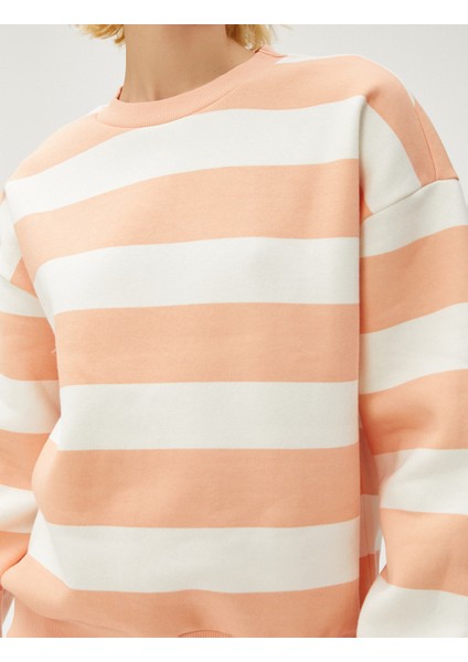 Basic Sweatshirt Bisiklet Yaka
