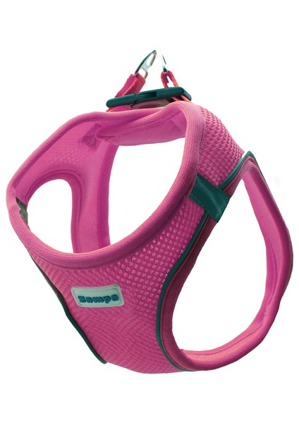 Air Mesh Kedi Köpek Göğüs Tasma S Pembe