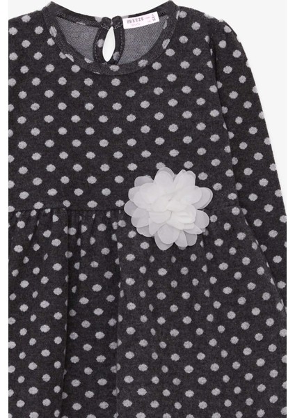 Kız Çocuk Uzun Kollu Elbise Puantiyeli Beyaz Çiçekli 3-7 Yaş, Antrasit modelleri