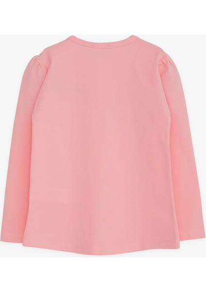 Kız Çocuk Uzun Kollu Tişört Güpürlü 1-4 Yaş, Pudra fiyatları